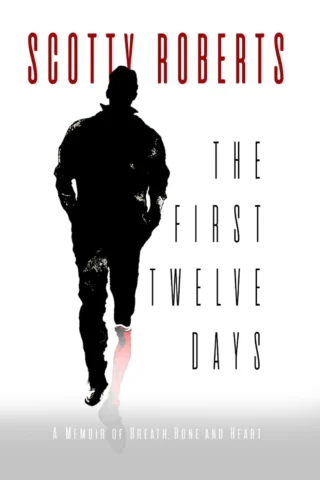 The First Twelve Days paperback cover